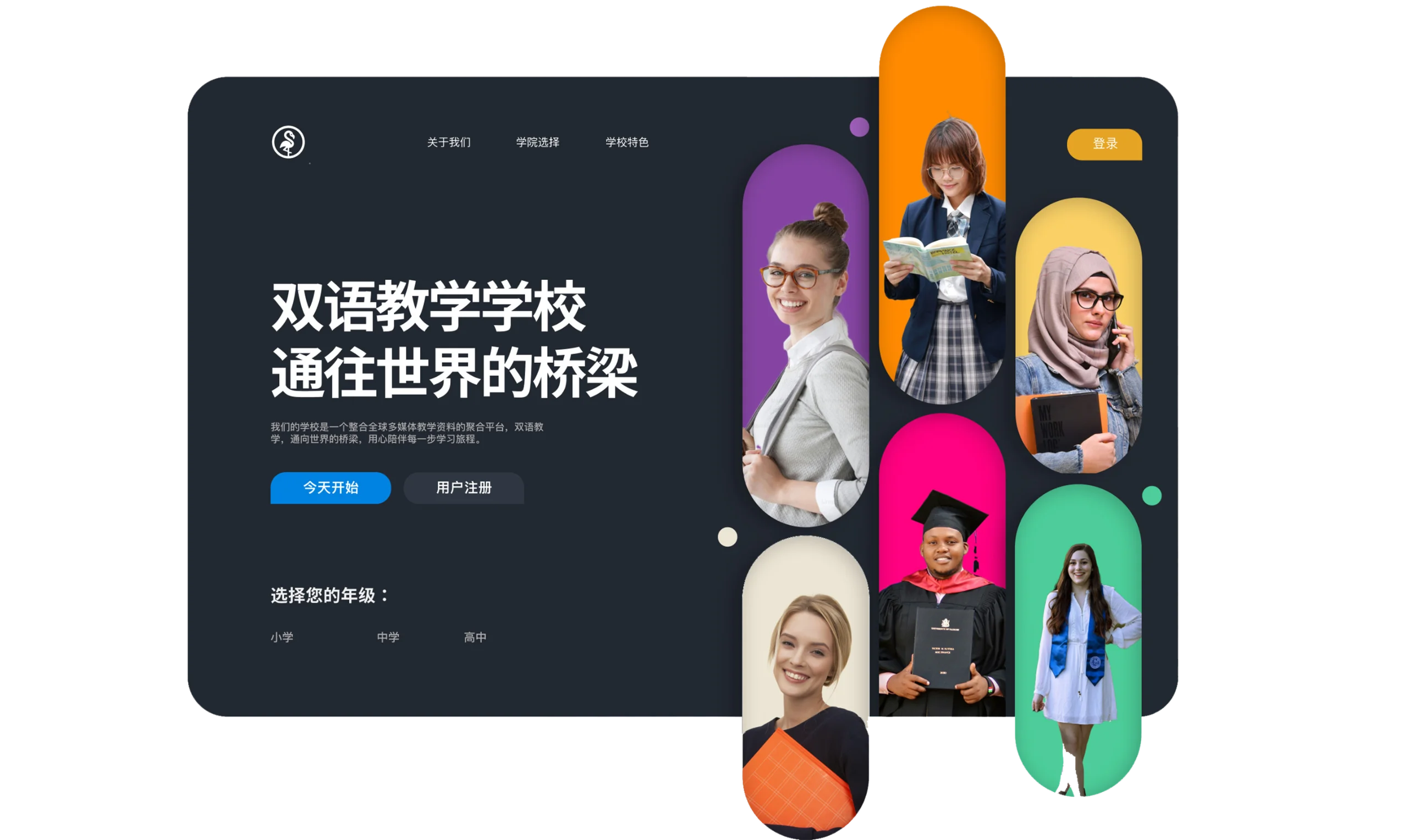 教育培训案例